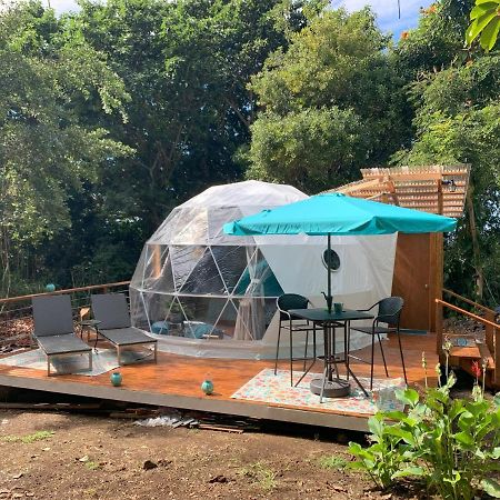 Manta Soul Jungle Geodome Hotel Kealakekua Exterior photo